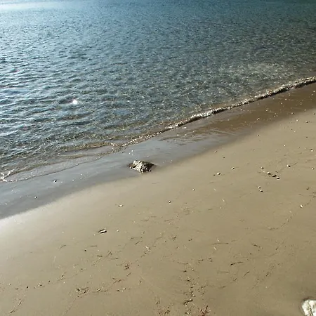 アパート By The Sea Cove Saplunara, Mljet - 4900 サプルナラ